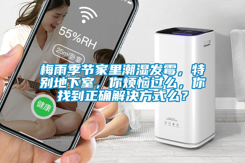 梅雨季節家里潮濕發霉，特別地下室，你煩惱過么，你找到正確解決方式么？