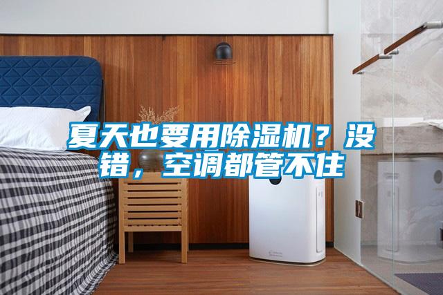 夏天也要用除濕機？沒錯，空調都管不住