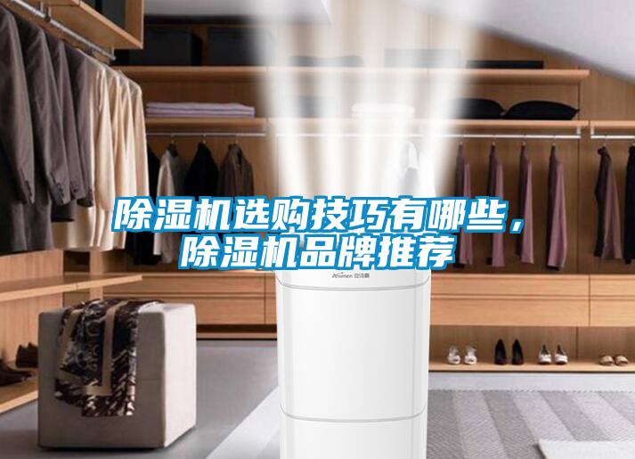 除濕機(jī)選購技巧有哪些，除濕機(jī)品牌推薦