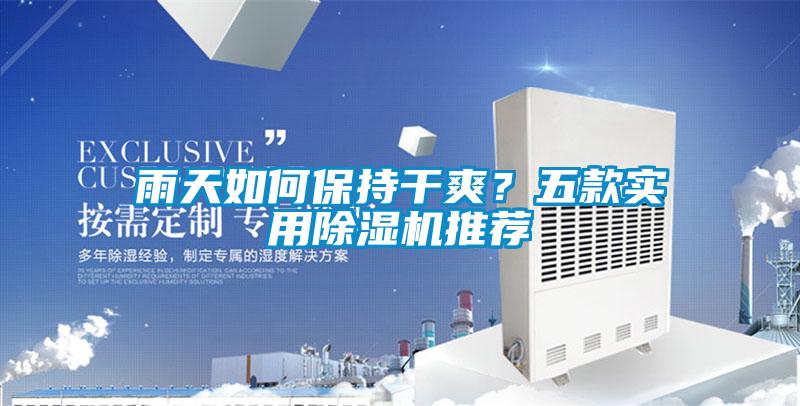 雨天如何保持干爽？五款實用除濕機推薦
