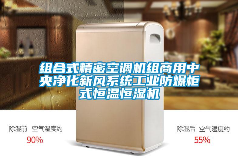 組合式精密空調(diào)機組商用中央凈化新風(fēng)系統(tǒng)工業(yè)防爆柜式恒溫恒濕機