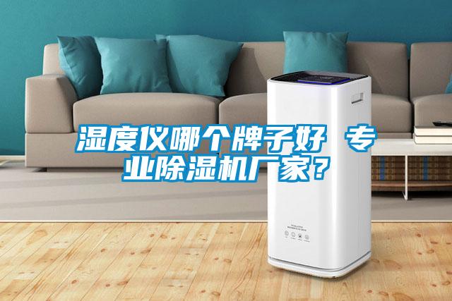 濕度儀哪個(gè)牌子好 專業(yè)除濕機(jī)廠家？