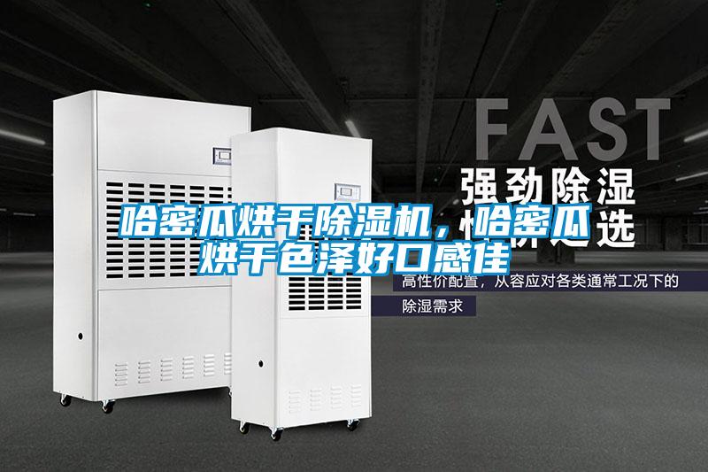 哈密瓜烘干除濕機，哈密瓜烘干色澤好口感佳