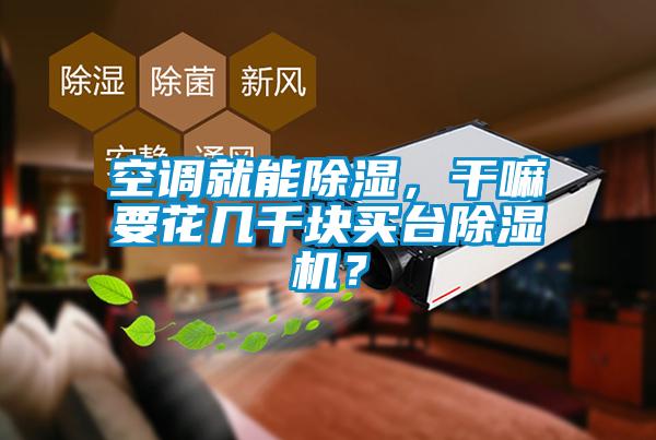 空調就能除濕，干嘛要花幾千塊買臺除濕機？