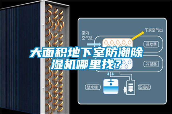 大面積地下室防潮除濕機哪里找？