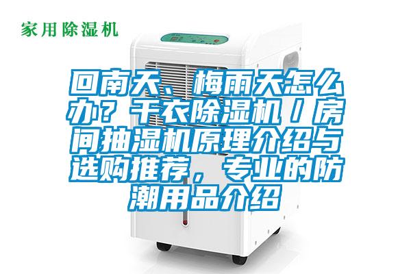 回南天、梅雨天怎么辦？干衣除濕機(jī)／房間抽濕機(jī)原理介紹與選購(gòu)?fù)扑]，專業(yè)的防潮用品介紹