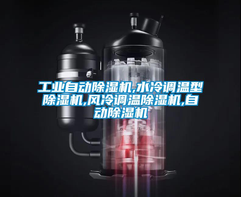 工業(yè)自動除濕機,水冷調(diào)溫型除濕機,風(fēng)冷調(diào)溫除濕機,自動除濕機