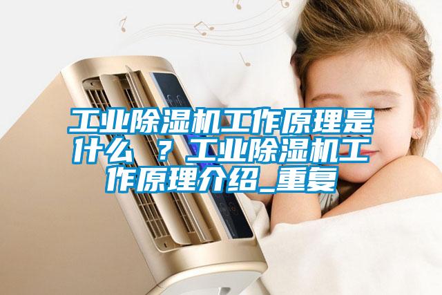 工業(yè)除濕機(jī)工作原理是什么 ？工業(yè)除濕機(jī)工作原理介紹_重復(fù)