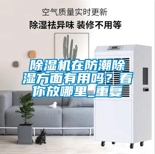 除濕機在防潮除濕方面有用嗎？看你放哪里_重復