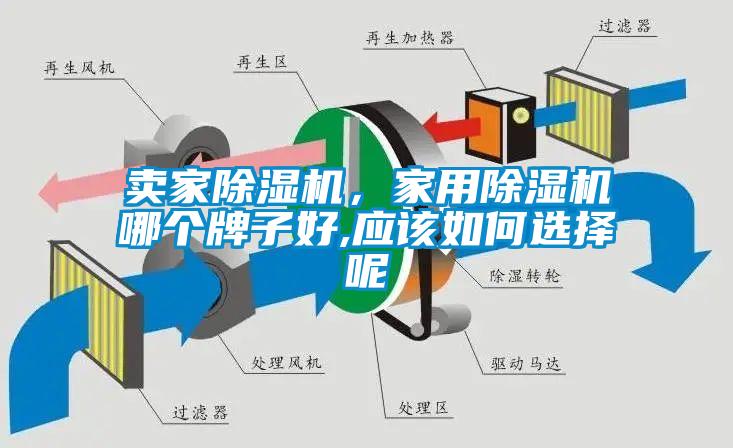 賣家除濕機(jī)，家用除濕機(jī)哪個牌子好,應(yīng)該如何選擇呢