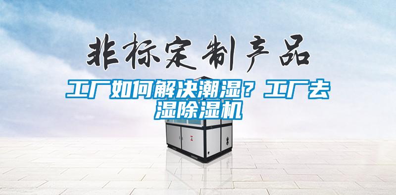 工廠如何解決潮濕？工廠去濕除濕機