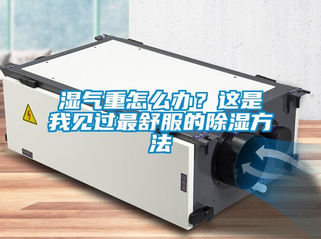 濕氣重怎么辦？這是我見過最舒服的除濕方法
