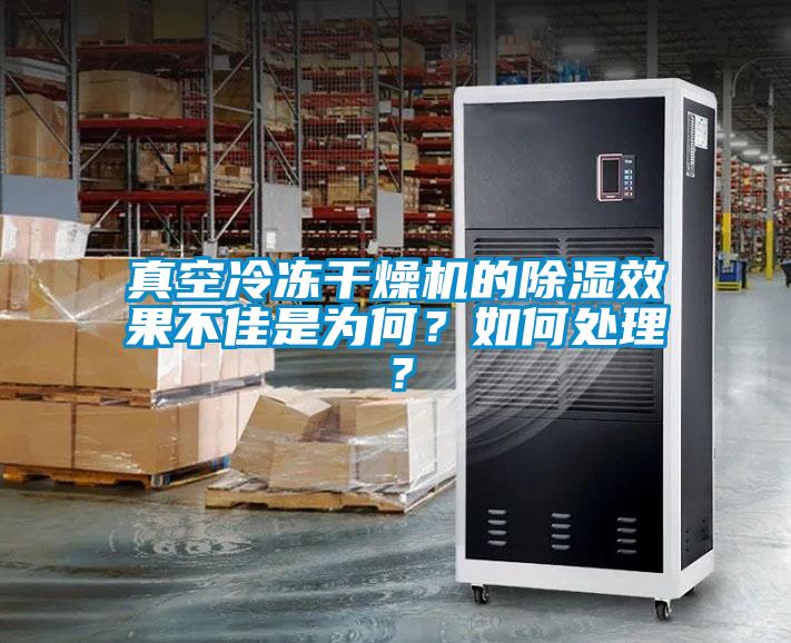 真空冷凍干燥機的除濕效果不佳是為何？如何處理？