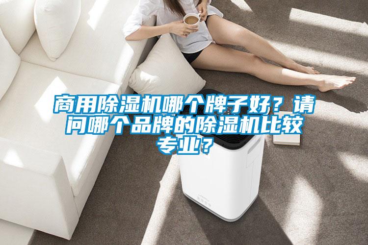 商用除濕機哪個牌子好？請問哪個品牌的除濕機比較專業？