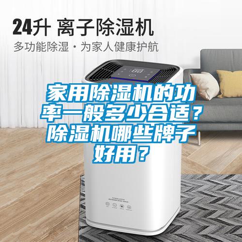 家用除濕機的功率一般多少合適？除濕機哪些牌子好用？