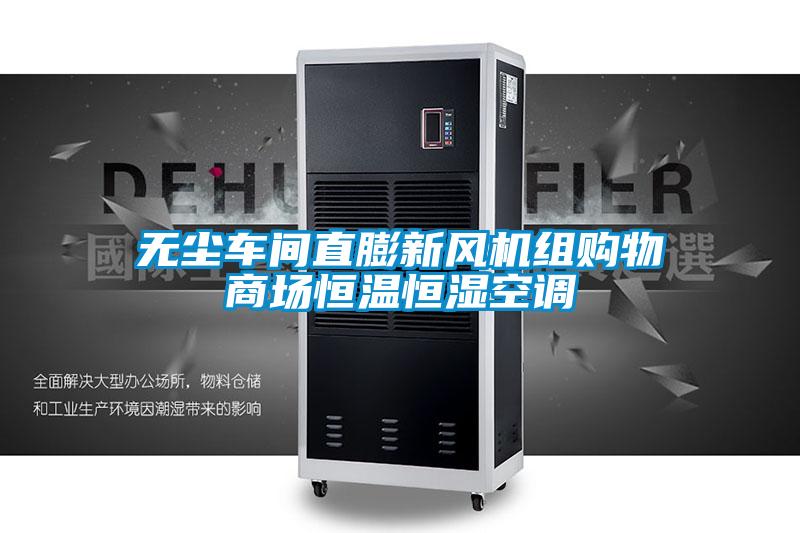 無塵車間直膨新風(fēng)機組購物商場恒溫恒濕空調(diào)