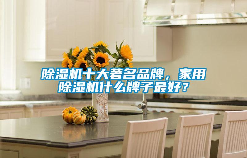 除濕機(jī)十大著名品牌，家用除濕機(jī)什么牌子最好？