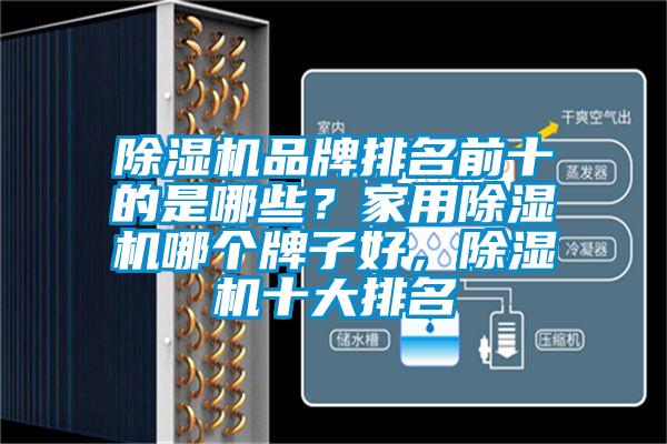 除濕機品牌排名前十的是哪些？家用除濕機哪個牌子好，除濕機十大排名