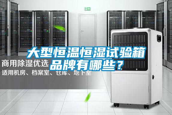 大型恒溫恒濕試驗箱品牌有哪些？
