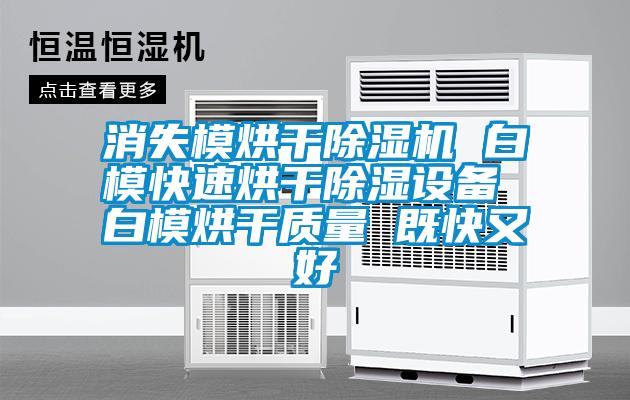 消失模烘干除濕機 白模快速烘干除濕設備 白模烘干質量 既快又好