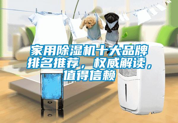 家用除濕機(jī)十大品牌排名推薦，權(quán)威解讀，值得信賴