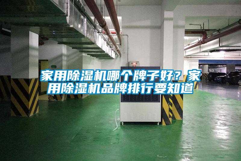 家用除濕機哪個牌子好？家用除濕機品牌排行要知道