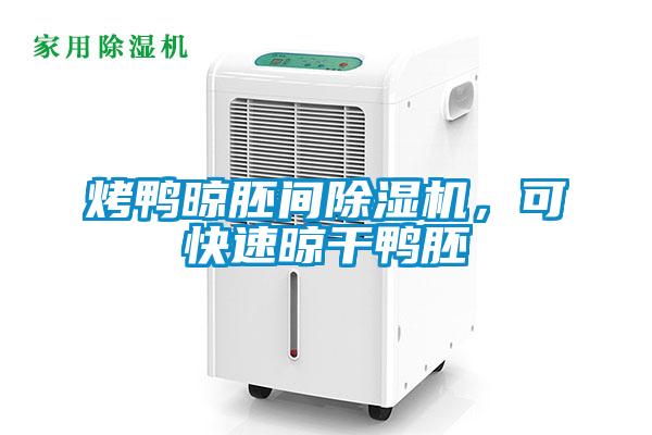 烤鴨晾胚間除濕機(jī)，可快速晾干鴨胚