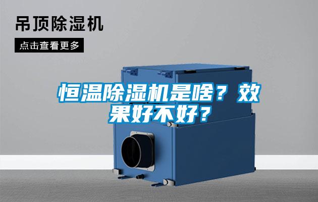 恒溫除濕機是啥？效果好不好？