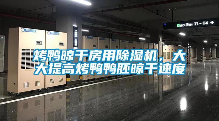 烤鴨晾干房用除濕機，大大提高烤鴨鴨胚晾干速度