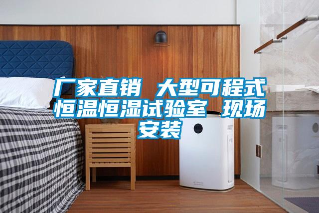 廠家直銷 大型可程式恒溫恒濕試驗(yàn)室 現(xiàn)場安裝
