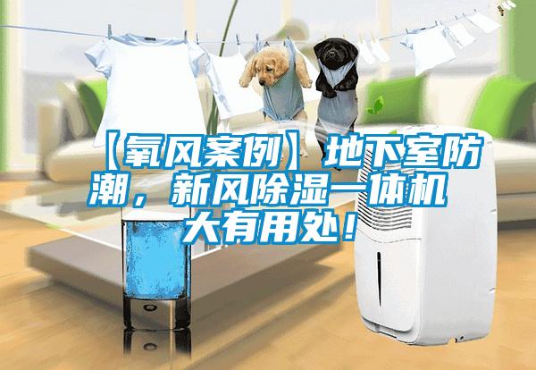 【氧風案例】地下室防潮，新風除濕一體機大有用處！