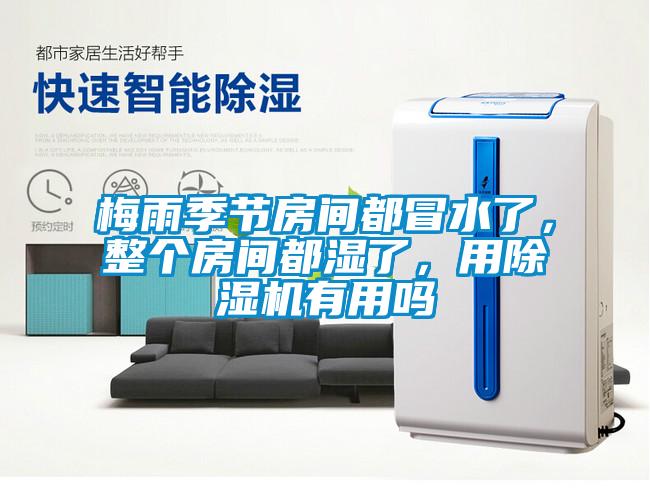 梅雨季節房間都冒水了，整個房間都濕了，用除濕機有用嗎
