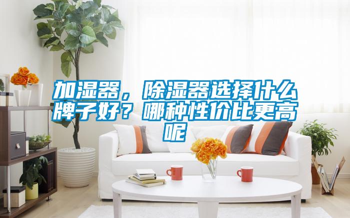 加濕器，除濕器選擇什么牌子好？哪種性價(jià)比更高呢