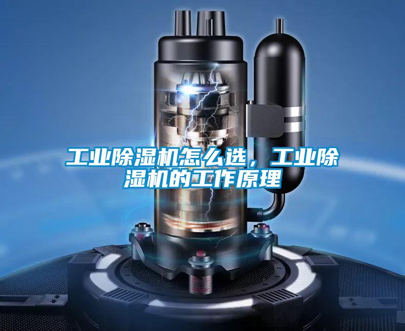 工業(yè)除濕機怎么選，工業(yè)除濕機的工作原理