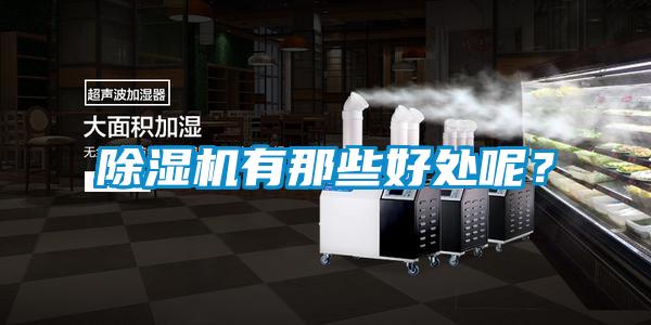 除濕機有那些好處呢？