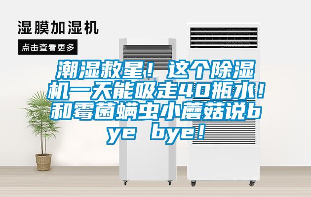 潮濕救星！這個(gè)除濕機(jī)一天能吸走40瓶水！和霉菌螨蟲小蘑菇說bye bye！