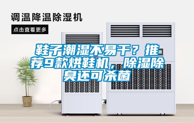 鞋子潮濕不易干？推薦9款烘鞋機，除濕除臭還可殺菌