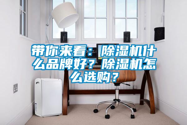 帶你來看：除濕機什么品牌好？除濕機怎么選購？