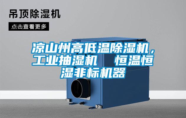 涼山州高低溫除濕機，工業抽濕機  恒溫恒濕非標機器