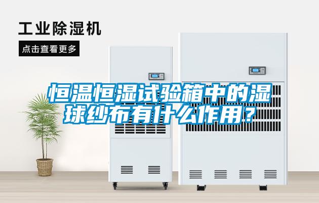 恒溫恒濕試驗箱中的濕球紗布有什么作用？