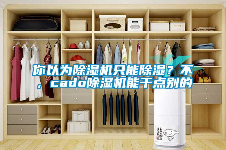 你以為除濕機只能除濕？不，cado除濕機能干點別的