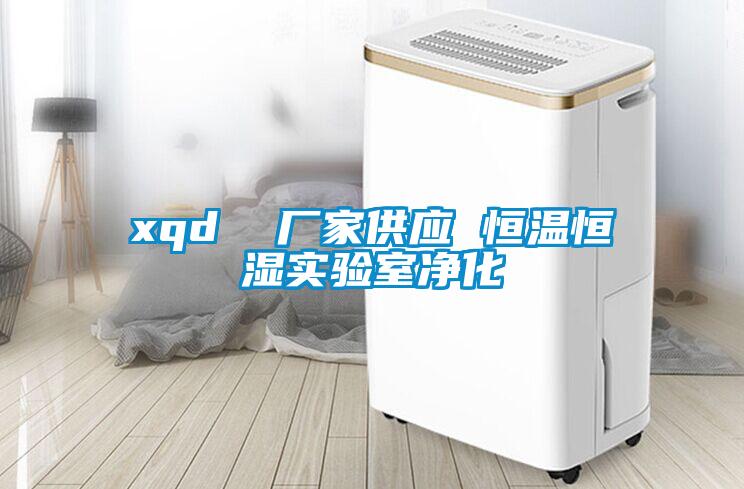 xqd  廠家供應(yīng) 恒溫恒濕實(shí)驗室凈化