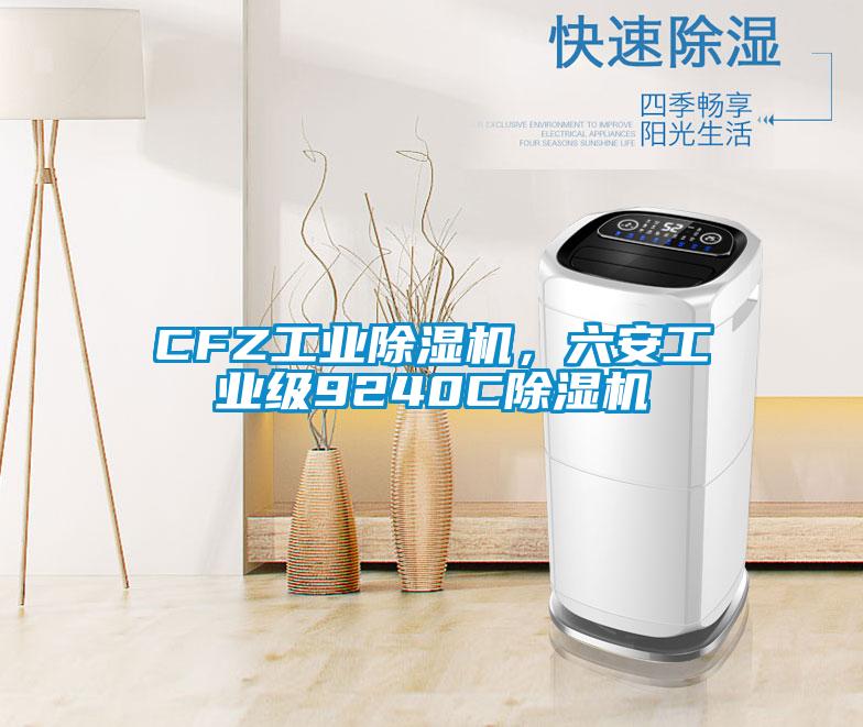 CFZ工業(yè)除濕機(jī)，六安工業(yè)級(jí)9240C除濕機(jī)