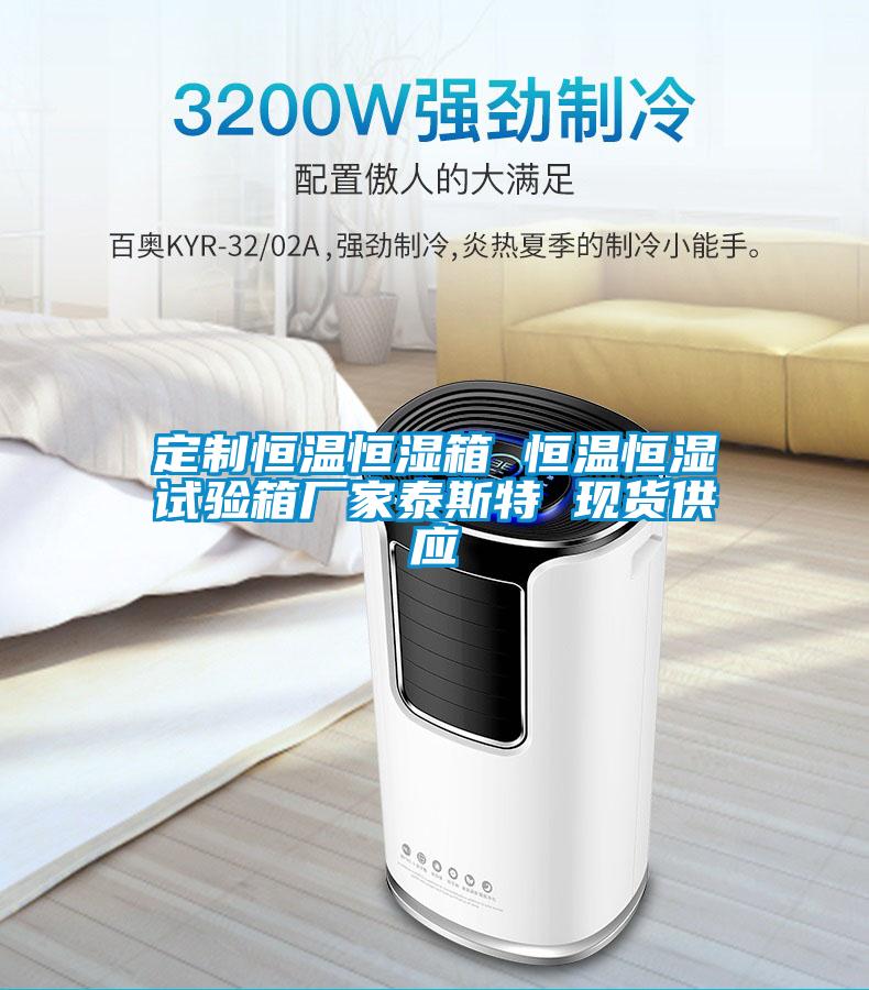 定制恒溫恒濕箱 恒溫恒濕試驗箱廠家泰斯特 現貨供應
