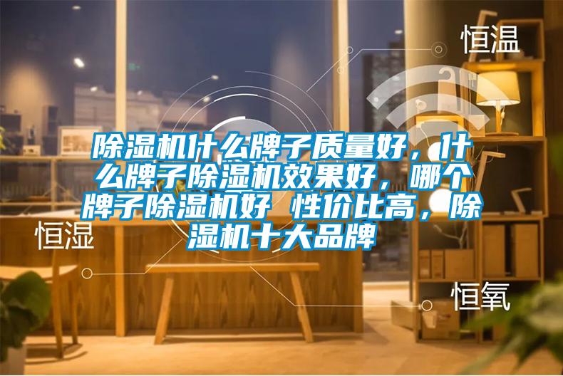 除濕機什么牌子質量好，什么牌子除濕機效果好，哪個牌子除濕機好 性價比高，除濕機十大品牌