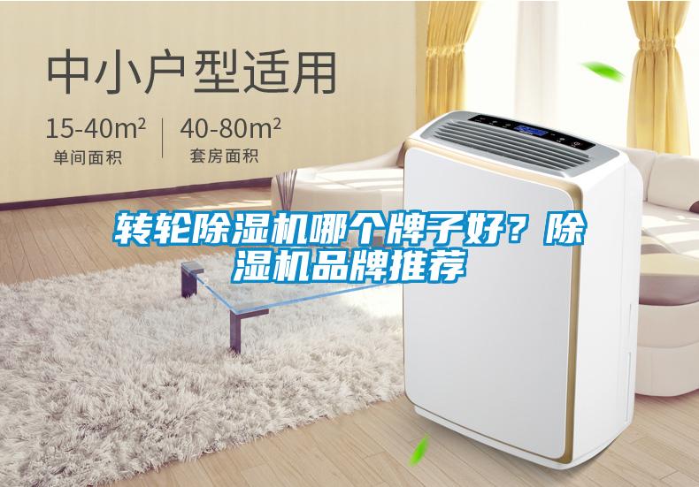 轉(zhuǎn)輪除濕機哪個牌子好？除濕機品牌推薦
