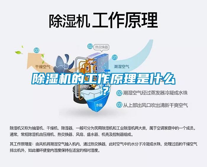 除濕機(jī)的工作原理是什么？