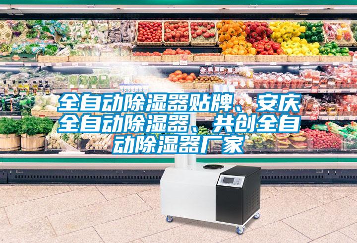 全自動除濕器貼牌、安慶全自動除濕器、共創(chuàng)全自動除濕器廠家
