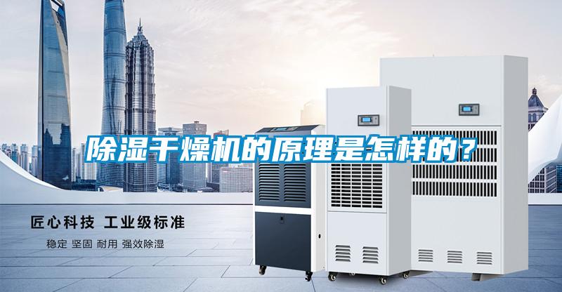 除濕干燥機的原理是怎樣的？