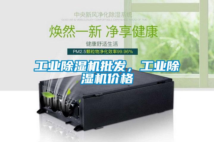 工業(yè)除濕機(jī)批發(fā)，工業(yè)除濕機(jī)價(jià)格